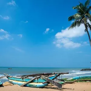 https://aloe-vera-negombo.kandyhotelsnow.com